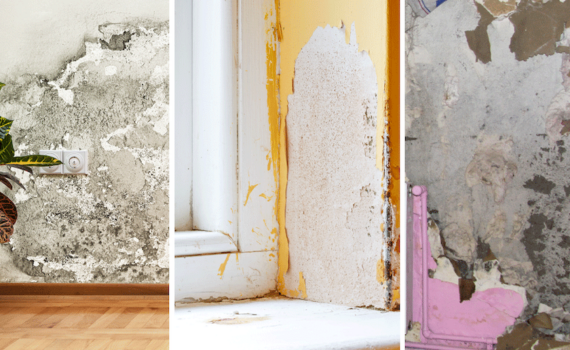 Humedades capilaridad Arquitecto Técnico Madrid 5