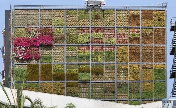 Jardín Vertical Arquitecto Técnico Madrid 2